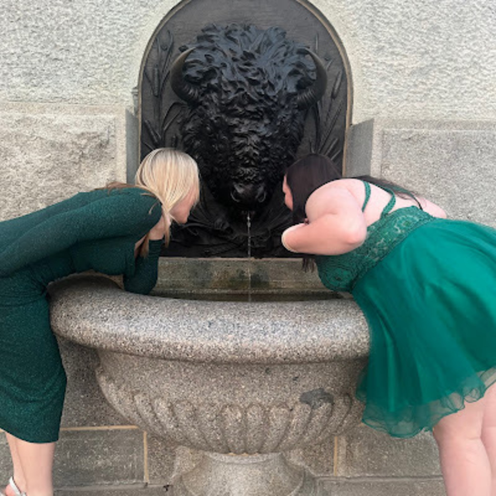 Meet your Posher, Maddie